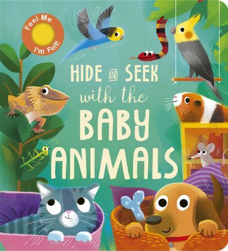 Molly Littleboy Hide and Seek with the Baby Animals (Libro di cartone)