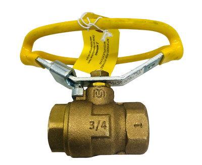 MILWAUKEE VALVE # BA100LOA34 600WOG NPT OVAL VALVE