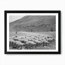 Untitled Photo, Possibly Related To Framed Wall Art Poster Canvas Print Picture