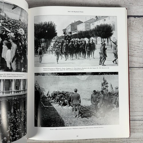 American Lions: The 332nd Infantry Regiment in Italy in World War I Dalessandro - Picture 16 of 18