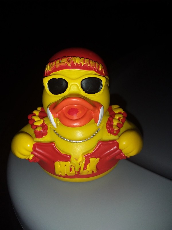 Wrestling Hulk Hogan's Duck