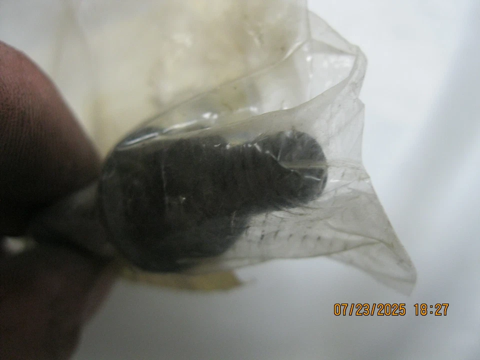 GM Genuine Parts 14103124 - Exhaust Manifold Stud Foto 2 de 4