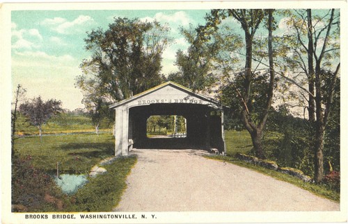 View Of Old Covered Bridge, Brooks Bridge, Washingtonville, New York Postcard
