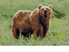 Bear Needlepoint Kit or Canvas (Animal)