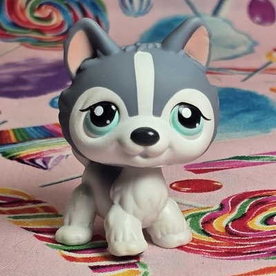 #ad Littlest Pet Shop No # Number Husky Gray White Teal Eyes Puzzle Tube Exclusive $19.99