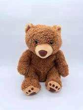 Kohls Cares Plush Bear 11" Toy Brown Teddy Bear 2013