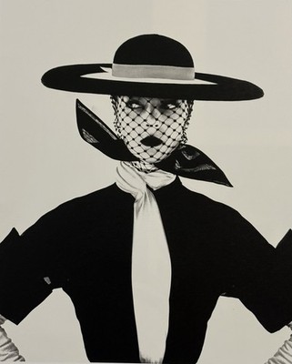 IRVING PENN VOGUE COVER 1950 NY  J Patchett  image8.25x7 archivally matted 12x14