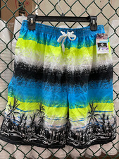 Men  s Swimming Trunks Classic Swim Wear Mesh Lined Swimsuit Shorts Large