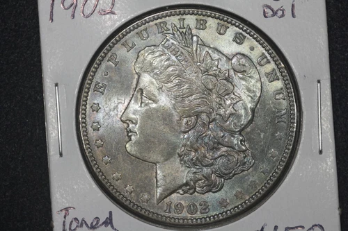 1902 Morgan Dollar, Toned BU+