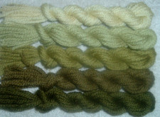 Paternayan Wool 3ply Persian Yarn Needlepoint Crewel 650 Olive Green Family
