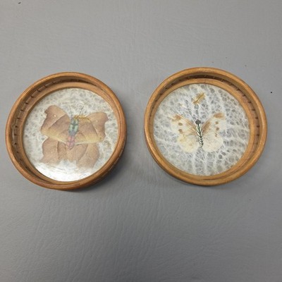 Vintage Butterfly Bamboo Drink Coasters Set Real Insect Barware Preserved Bugs