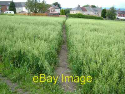 Foto 6x4 Schnittweg durch ein Haferfeld nähert sich Adelaide Bank Shil c2007