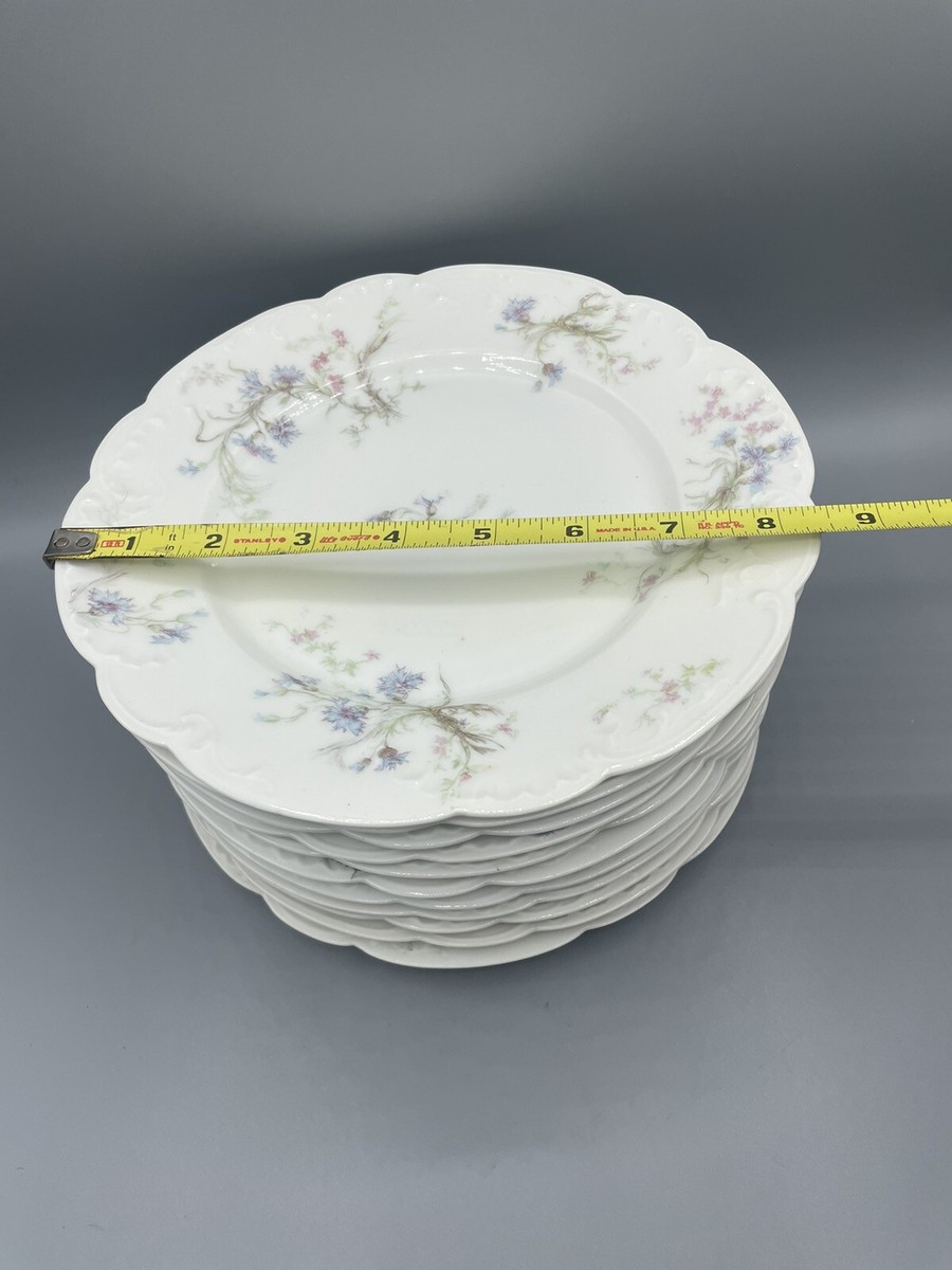 Haviland & Co Limoges 8.5” Dinner Plate ~ Pink, Blue Flowers Rare