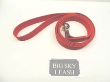 Dog leash red 6 foot long strong polypropylene all weather webbing swivel snap