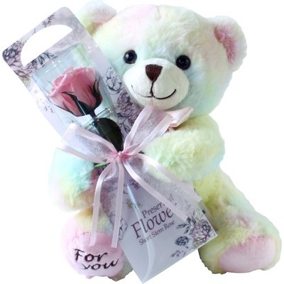 Preserved Flower, Preserved Rose, Rainbow colored Teddy Bear with Single Red ...