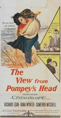 395502 THE VIEW FROM POMPEYS HEAD Movie Richard Egan WALL PRINT POSTER US