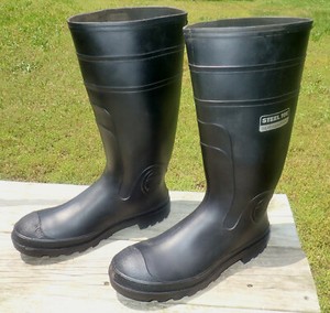 bailey bow chestnut