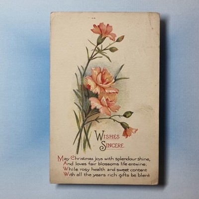 Weihnachts Postkarte 1920 Nelke Blumen Misch & Co