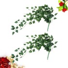 Afbeelding 7 van 11