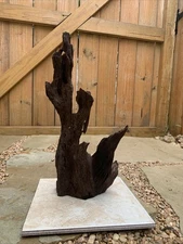 Natural driftwood for aquarium/terrarium/arts and crafts