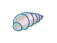 Seashell- Beach - Summer - Vacation - Embroidered Iron On Applique Patch