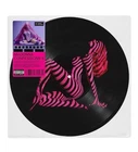 Madonna  Confessions II - Ltd Edition Grindr Picture Disc Vinyl Sabrina