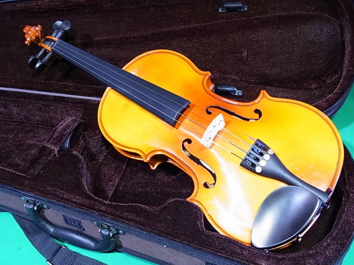 Stentor 3/4 Size Orchestral Violins for sale | eBay
