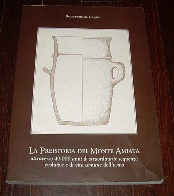DIE PRÄGESCHICHTE DES MONTE AMIATA BONAVENTURA CAPRIO 1997 CECCARELLI ARCHÄOLOGIE