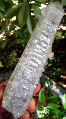 232g WOW! Natural Super Seven Skeletal Mace Amethyst Quartz Crystal Reiki ip1271