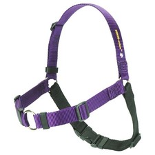 SENSE-ation No-Pull Dog Harness - Medium/Large 1" Wide Black/Purple 