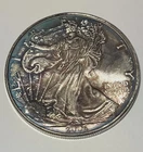 2006 American Silver Eagle $1 Coin - 1 oz .999 Fine Silver-Toned (Free Shipping)