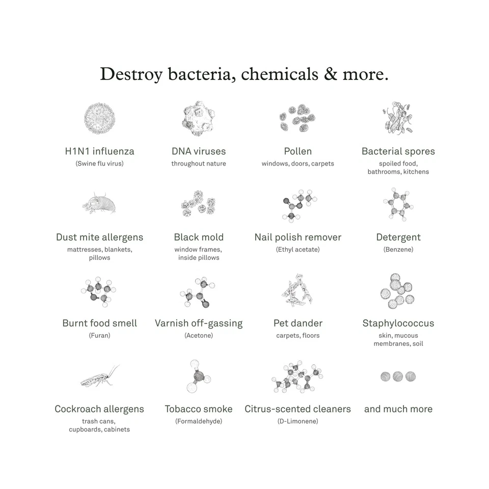Repuesto de filtro PECO Molekule Air - Auténtica molécula avanzada... Envío rápido Foto 3 de 4