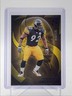 JAMES HARRISON 2025 PANINI SILHOUETTE FOOTBALL PURPLE STEELERS /125 Q6377