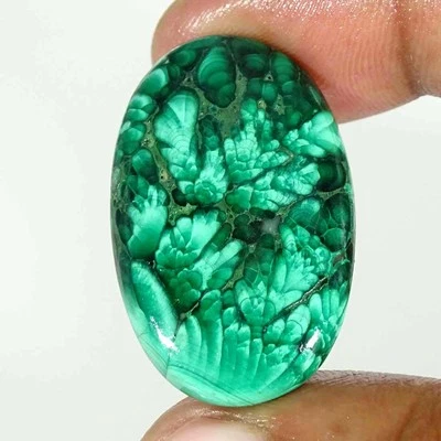 56,30 Cts Natürlicher Malachit Ovaler Cabochon Lose Edelstein - Bild 1 von 2