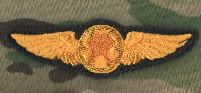 Il Ferro Della Toppa Dell'aeronautica Degli Stati Uniti Cuce Sul - Foto 3