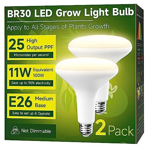 Sunlight bulbs top for plants