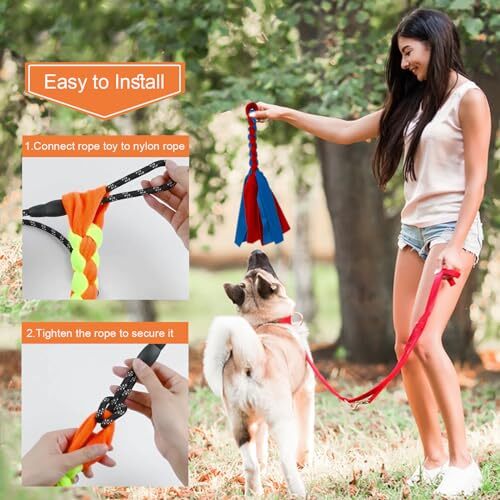 Dog Teaser Wand Flirt Pole Interactive Flirt Stick for Outdoor