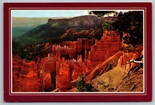 Best of the West Prints, Bryce Canyon National Park Utah Scenic View Postcard