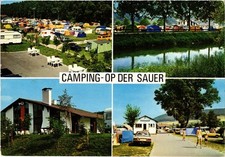 CPM AK Camping Op Der Sauer LUXEMBOURG (14952...
