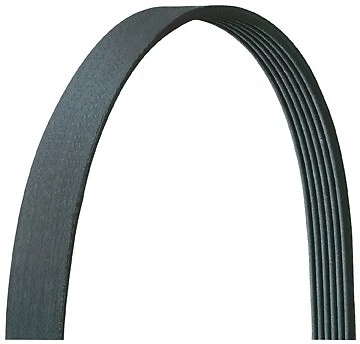 Aire acondicionado y alternador Dayco Serpentine Belt para Toyota RAV4 1996-1997 Foto 2 de 2