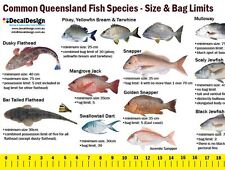 Fish Size Chart Qld