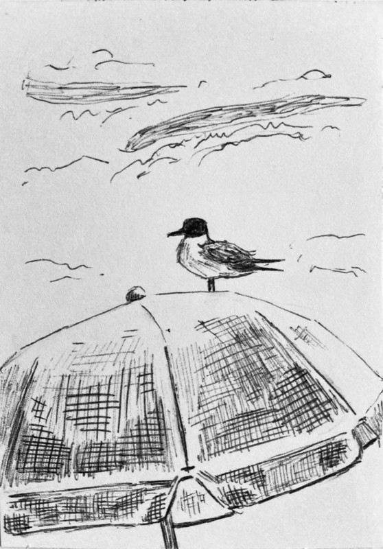 ACEO "Perched 2" from Collection #1, 2.5"x3.5", Original Pen Drawing