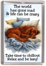 Irish Setter Red Dog Fridge Magnet by Starprint