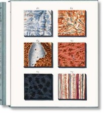 Jan Christiaan Sepp. the Book of Marble by Geert-Jan Koot: New