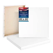 3 Pack of U.S. Art Supply 30" x 30" Acrylic Primed Cotton Stretched Canvas