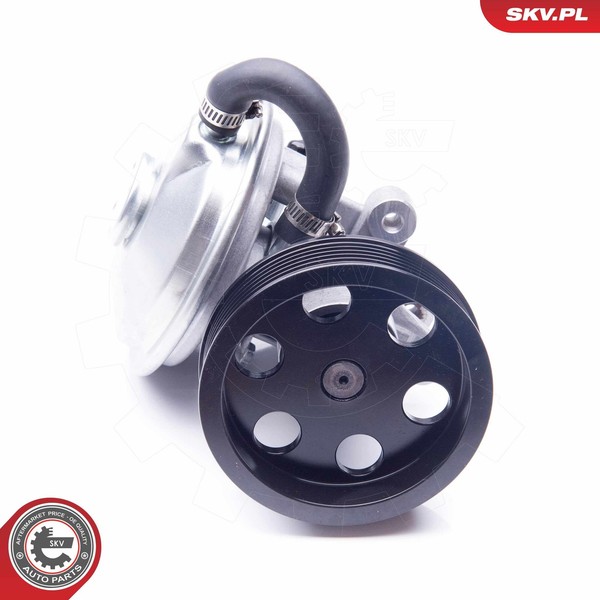 Esen SKV Unterdruckpumpe, Bremsanlage 18SKV020 FüR CitroËN Passend FüR Fiat-image