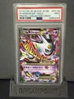Pokemon M Gengar EX Collector Chest Black Star Holo Promo XY166 PSA 9 Mint