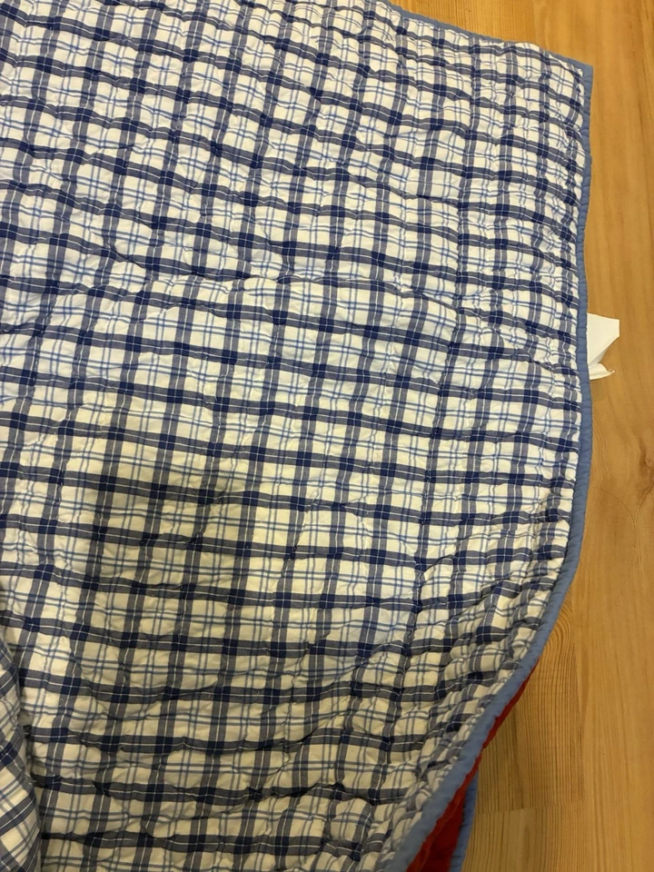 Pottery Barn Dinosaur Bedding Full/queen - Image 2 of 4