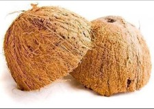cáscara de coco