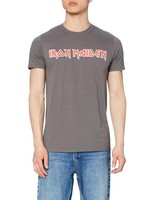 Iron Maiden Men's Classic Logo T-Shirt XXL Grey (Charcoal)